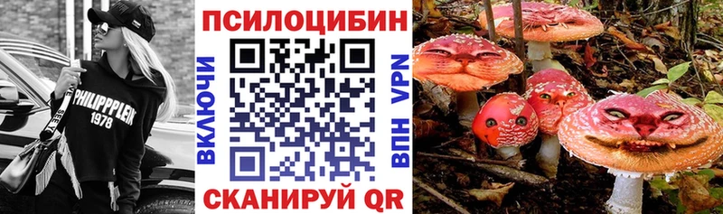 OMG рабочий сайт  Мичуринск  это телеграм  Галлюциногенные грибы Psilocybine cubensis 